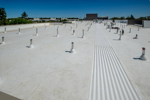 Best Roof Insulation Installation  in Fort Meade, MD